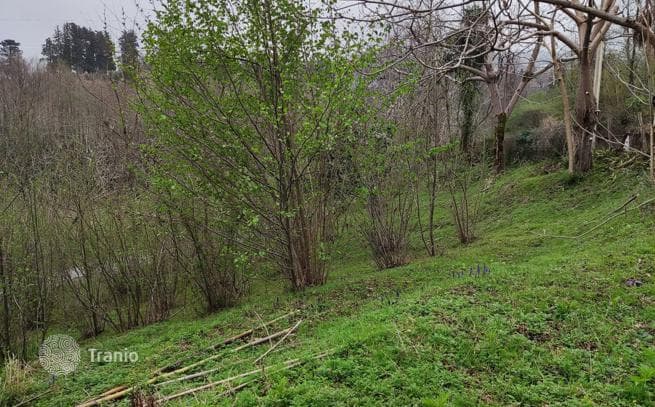 Земля для коттеджей рядом с Батуми в экологически чистом месте, фото 3