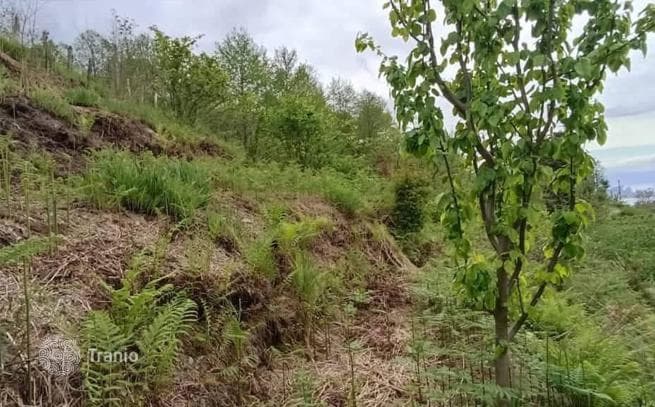 Земля для строительства дома, вилл, коттеджей с видом на море в ближайшем пригороде Батуми, фото 3