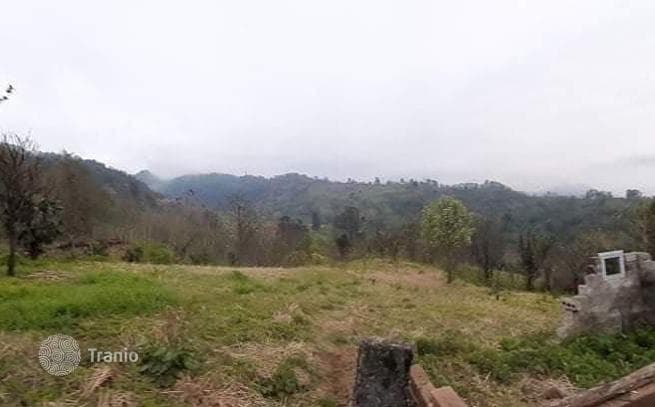 Великолепный участок в Квариати (Батуми), фото 4