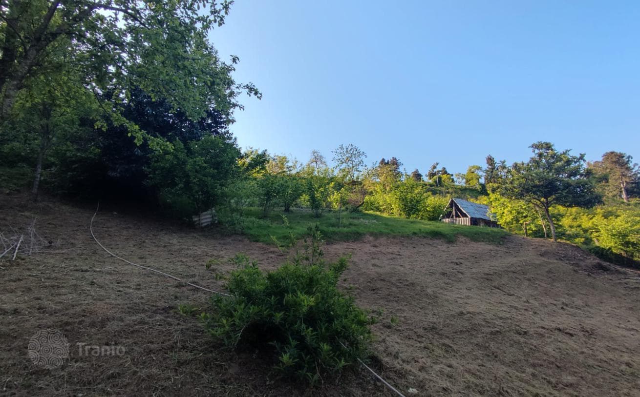 Продается участок в очень красивом месте в ближайшем пригороде Батуми, фото 3