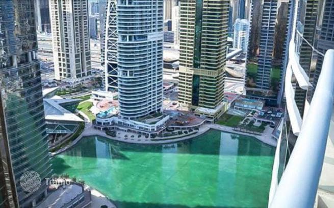 Квартира для получения резидентской визы и арендного дохода в Jumeirah Lake Towers, Дубай, ОАЭ, фото 2