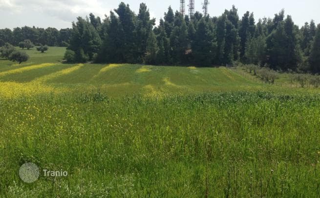 Холмистый земельный участок с видом на горы, Кассандра, Греция
