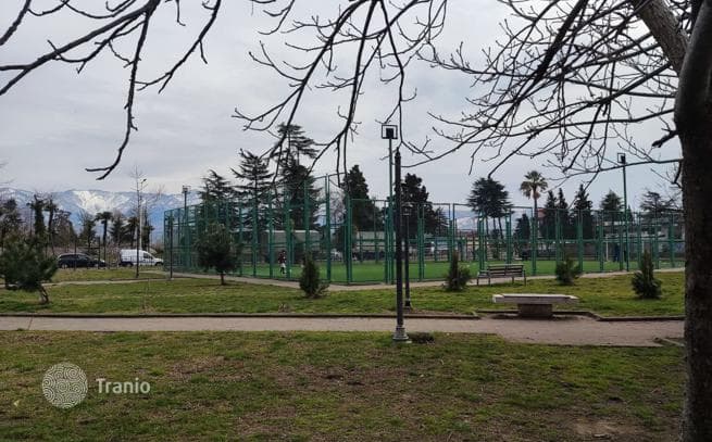 Большой дом в курортном городке Кобулети недалеко от моря, фото 3