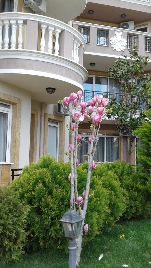Квартира в Равде, Болгария, 38 м2