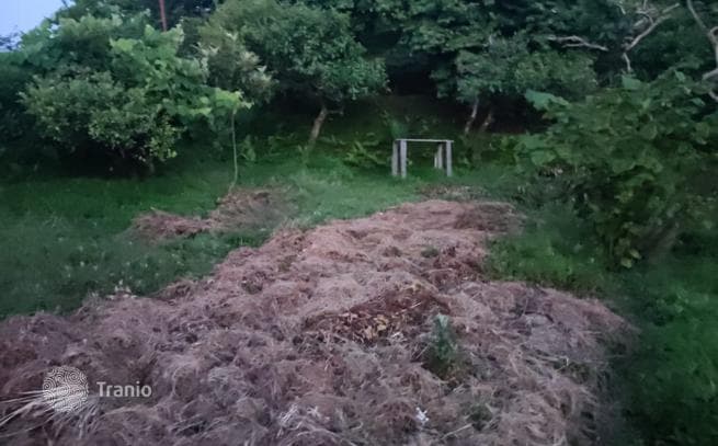 Земельный участок с видом на море в городе Батуми (поселок Ферия), фото 2