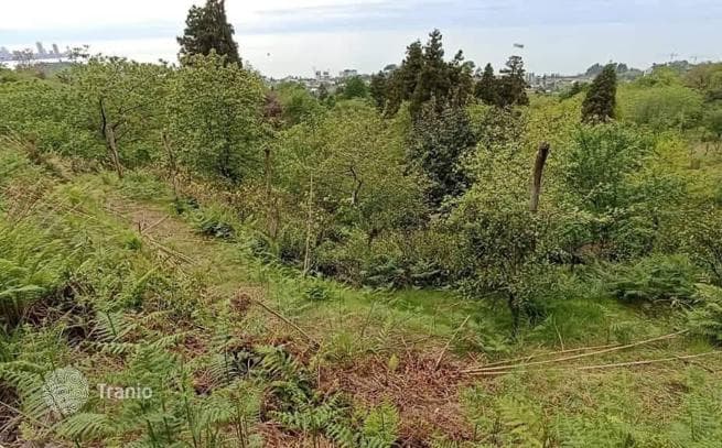 Земля для строительства дома, вилл, коттеджей с видом на море в ближайшем пригороде Батуми, фото 5