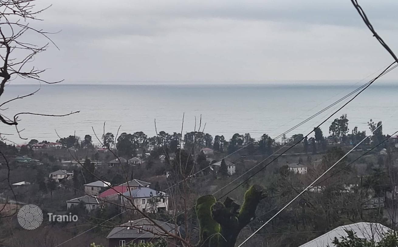 Капитальный дом с видом на море и большим участком рядом с Батуми, фото 3