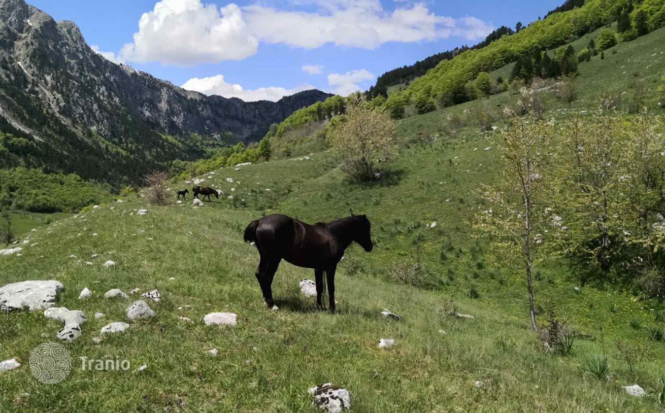Земельный участок под застройку в Липово, Колашин, Черногория
