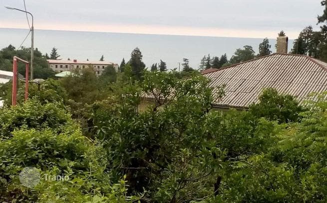 Удобный красивый участок в ближайшем пригороде Батуми, фото 3