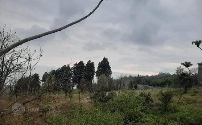 Великолепный участок в Квариати (Батуми), фото 3
