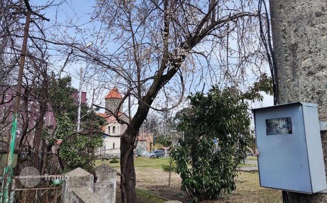 Большой дом в курортном городке Кобулети недалеко от моря, фото 4