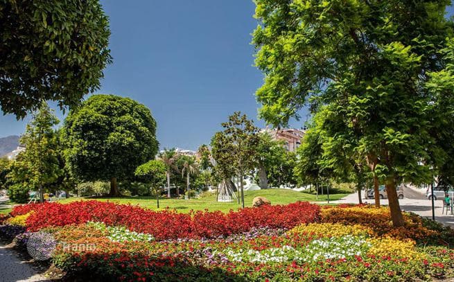 Апартаменты с 3 спальнями и террасой в Эстепоне, фото 3