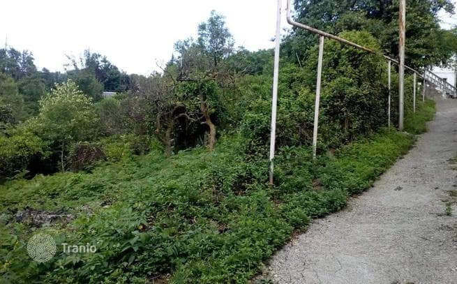 Удобный красивый участок в ближайшем пригороде Батуми, фото 2
