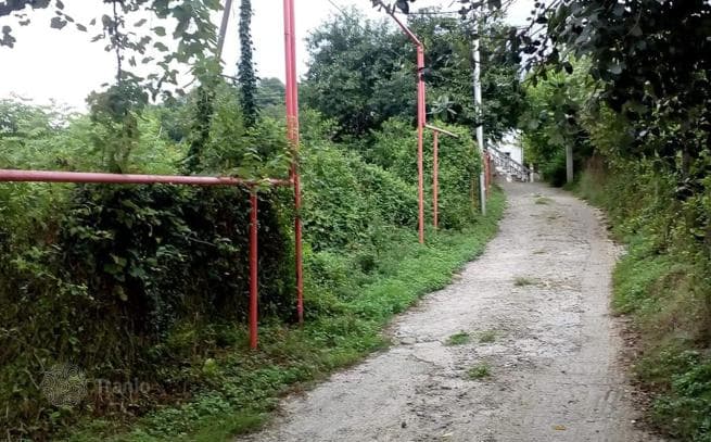 Удобный красивый участок в ближайшем пригороде Батуми, фото 4