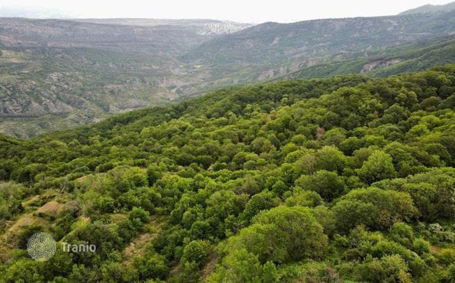 Земельный участок на улице Крцаниси, Грузия