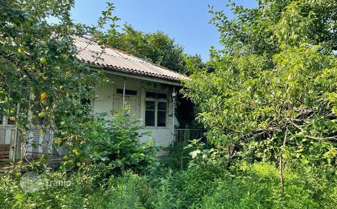 Маленький красивый участок на море недалеко от Батуми, фото 2