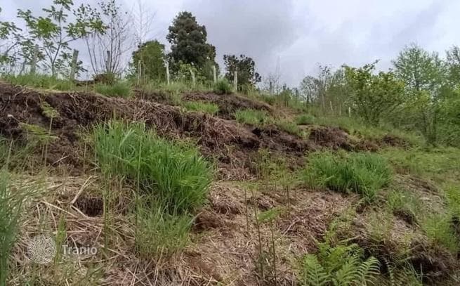 Земля для строительства дома, вилл, коттеджей с видом на море в ближайшем пригороде Батуми, фото 4