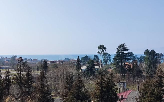 Красивый участок рядом с морем в Батуми, фото 4