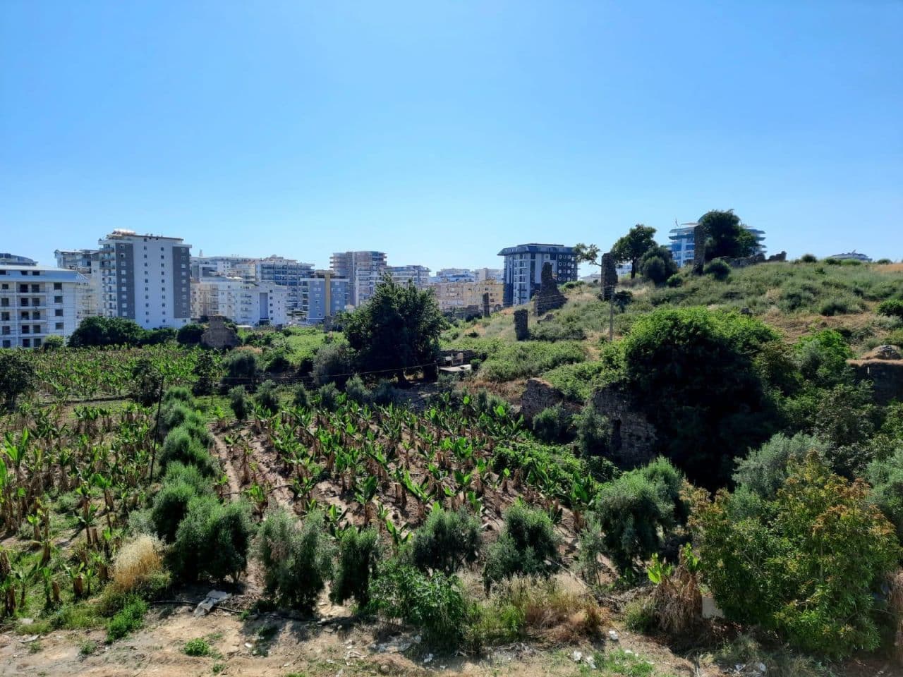 Квартира в Алании, Турция, 55 м2, фото 2