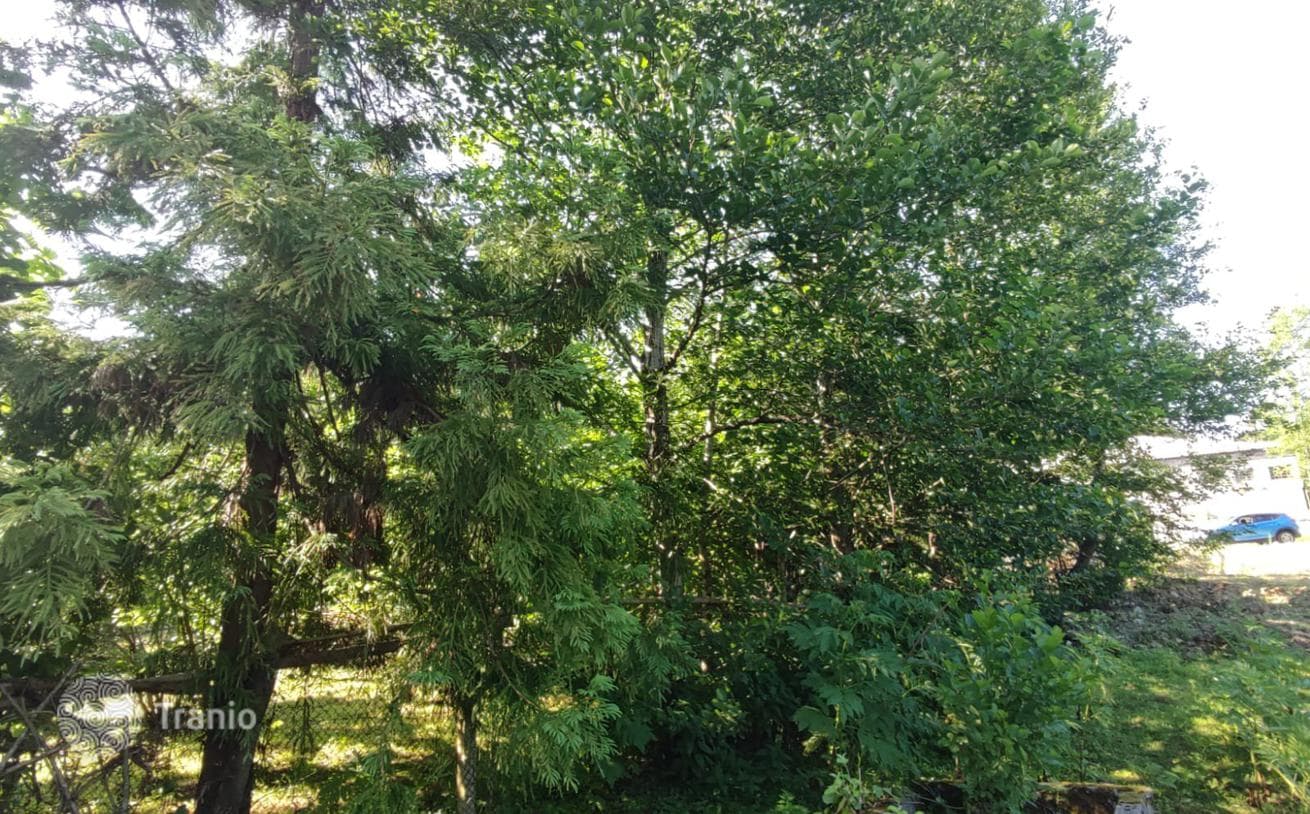 Продается красивый земельный участок возле речки в поселке Чакви, фото 2