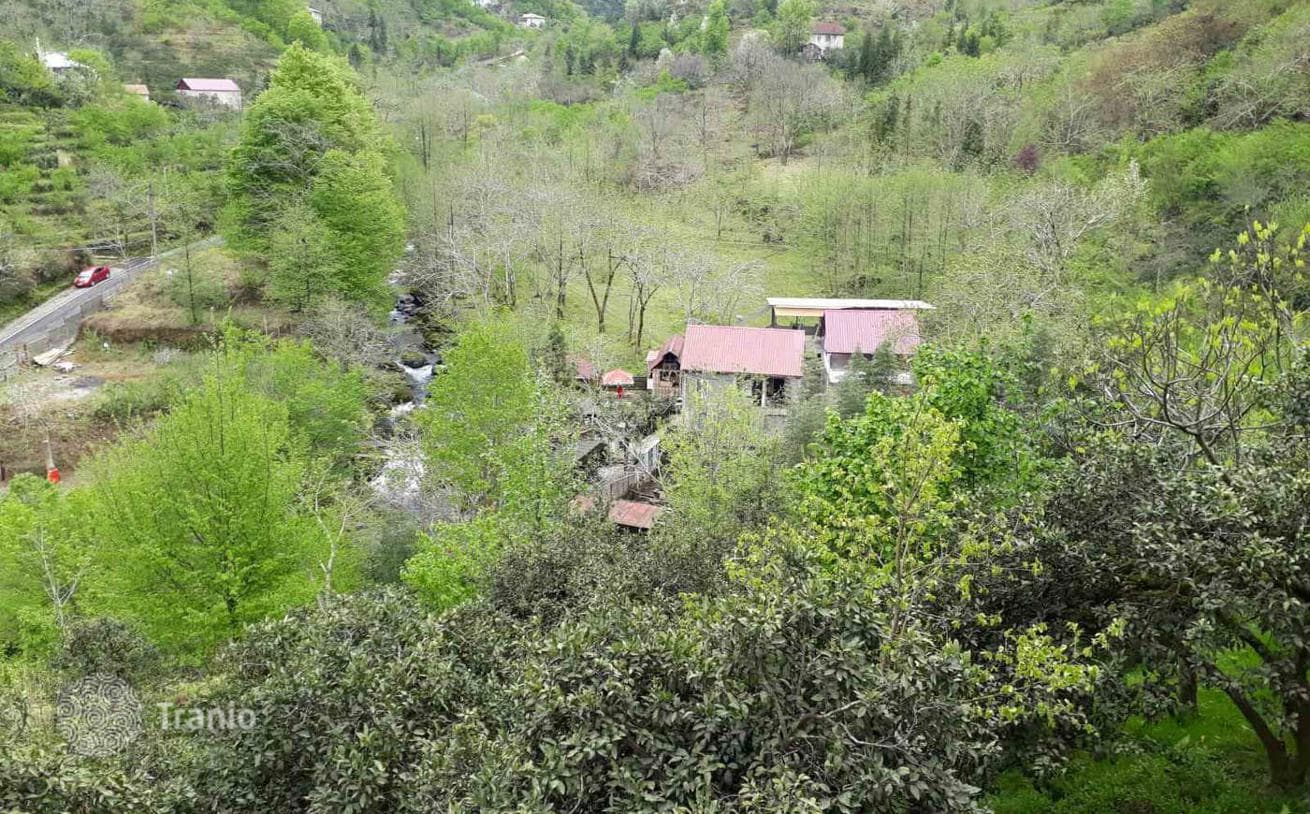Продается красивый дом на речке в горах недалеко от Батуми, фото 2