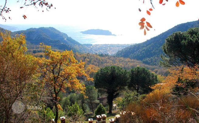 Земельный участок с панорамными видами, Марковичи, Будва, Черногория, фото 2