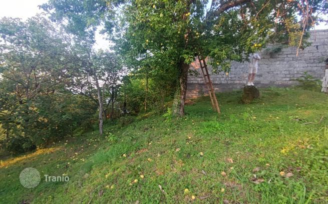 Фантастически красивая земля с панорамным видом на море и горы в пригороде Батуми, фото 4