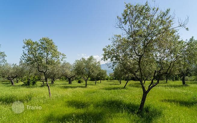 Поместье 600 м² во Флоренции, Италия, фото 5